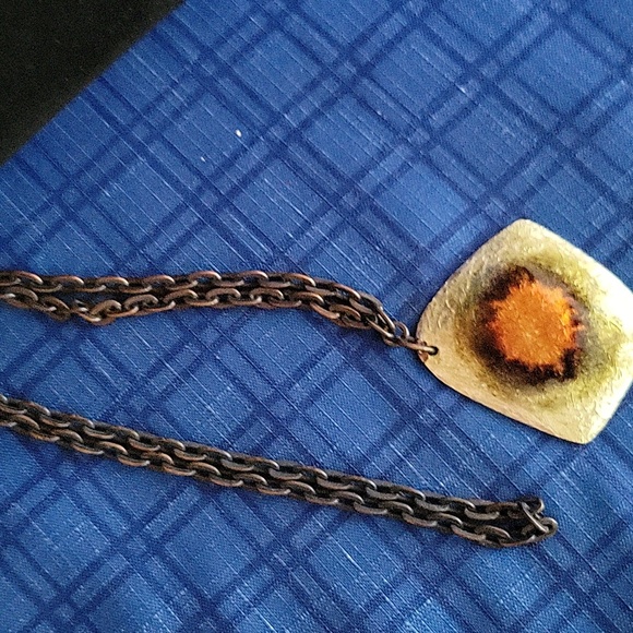 Shell looking - Picture 5 of 5